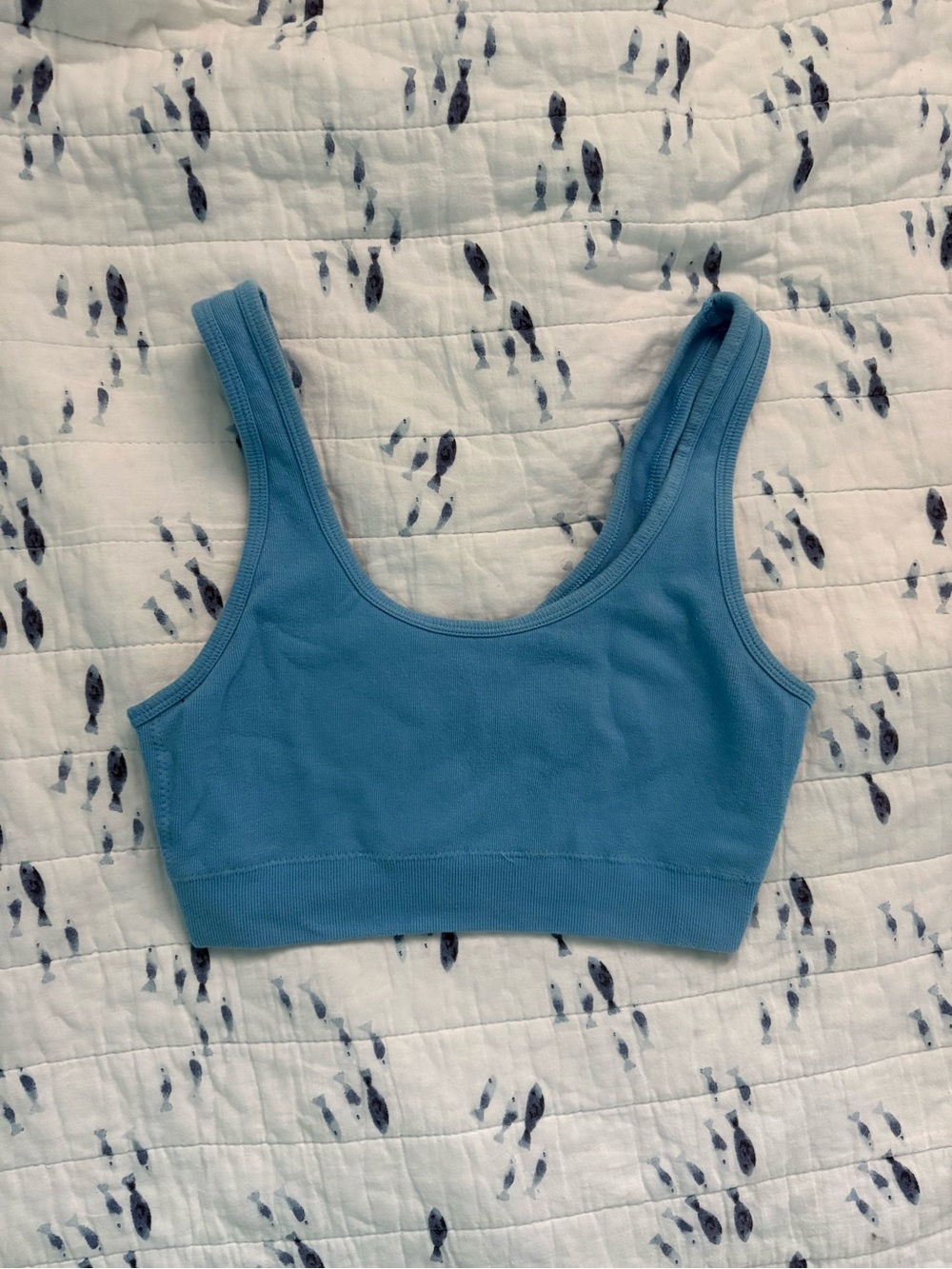 aerie Sky Blue Scoop Bralette